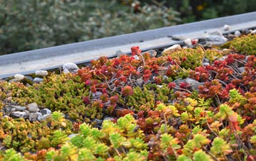 the cost of Heathfield green roof installation