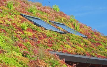 Heathfield living roof systems